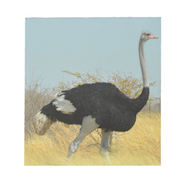 Sträng ut för springa anteckningsblock (Framsida)