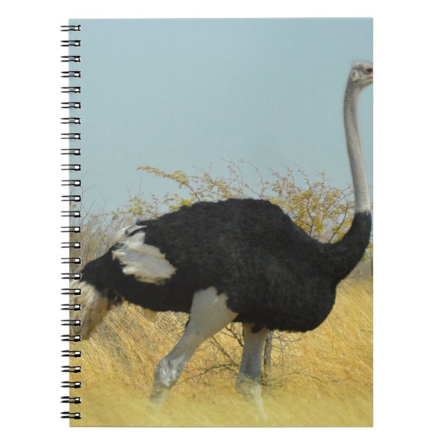 Sträng ut för springa anteckningsbok (Framsidan)