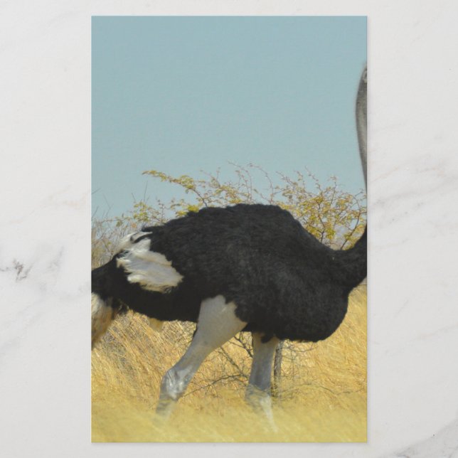 Sträng ut för springa brevpapper (Framsida)