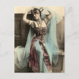 Stränga en egyptisk gås vykort