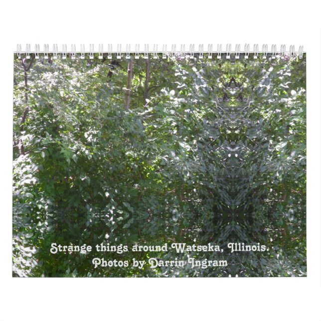Stränga sak runt Watseka, Illinois Kalender (Omslag)