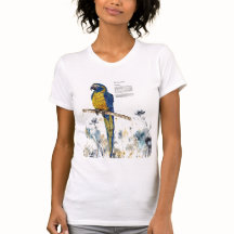 Strängare hotad makadfärg