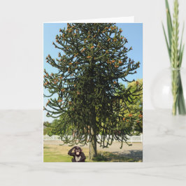 Strange enough to puzzle a monkey. kort