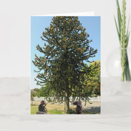 Strange enough to puzzle a monkey. kort