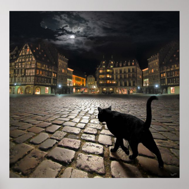 Strasbourgs kväll poster (Framsidan)