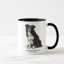 Strategisk planerings Border Collie