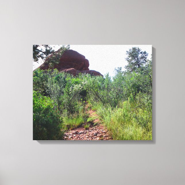 Straussen Back Trail Canvastryck (Framsida)