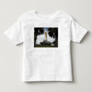 Strävan för rymdfärja för Palmettoträdram T Shirt