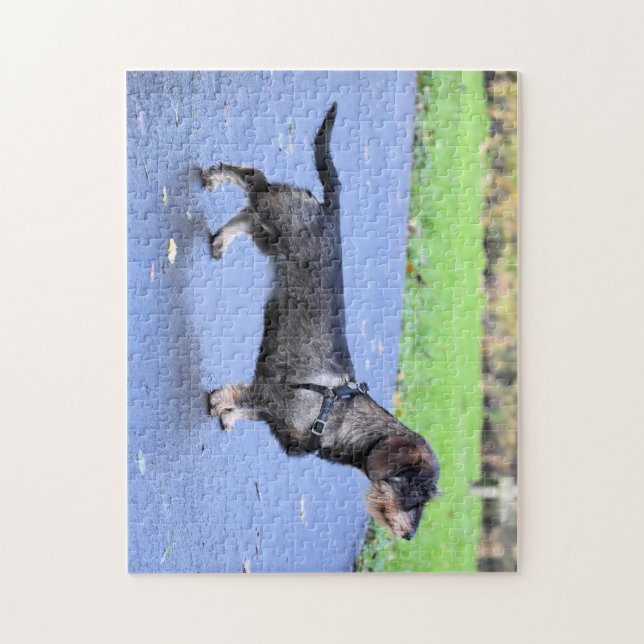 strävhårig dachshund full pussel (Vertikal)