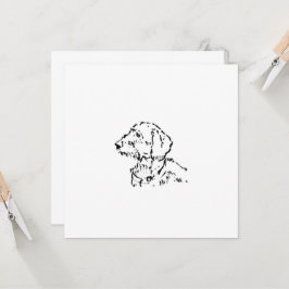 Strävhårig Dachshund Hund Förälder