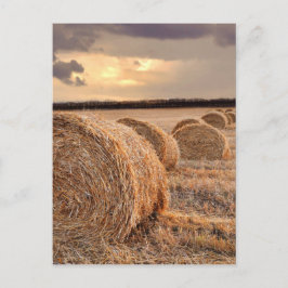 Straw Bales vykort