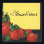 STRAWBERRIES Fruit Preserve,Canning Fyrkantigt Klistermärke<br><div class="desc">Färglös vintage för rödfruktskonserver,  sylt och burk.</div>