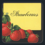 STRAWBERRIES Fruit Preserve,Canning Fyrkantigt Klistermärke<br><div class="desc">Färglös vintage för rödfruktskonserver,  sylt och burk.</div>