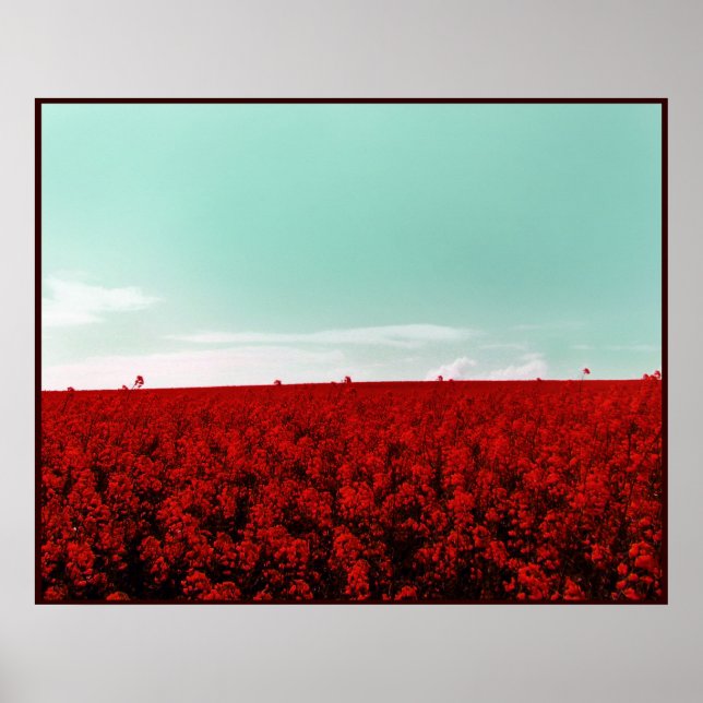 STRAWBERRY FÄLT FOREVER POSTER (Framsidan)