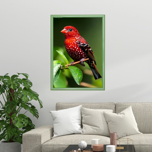 Strawberry Finch  Poster (Skapare uppladdad)