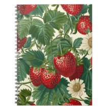 Strawberry Fruit Pattern