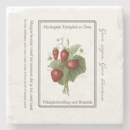 Strawberry seedling is a Christmas tree Stenunderlägg