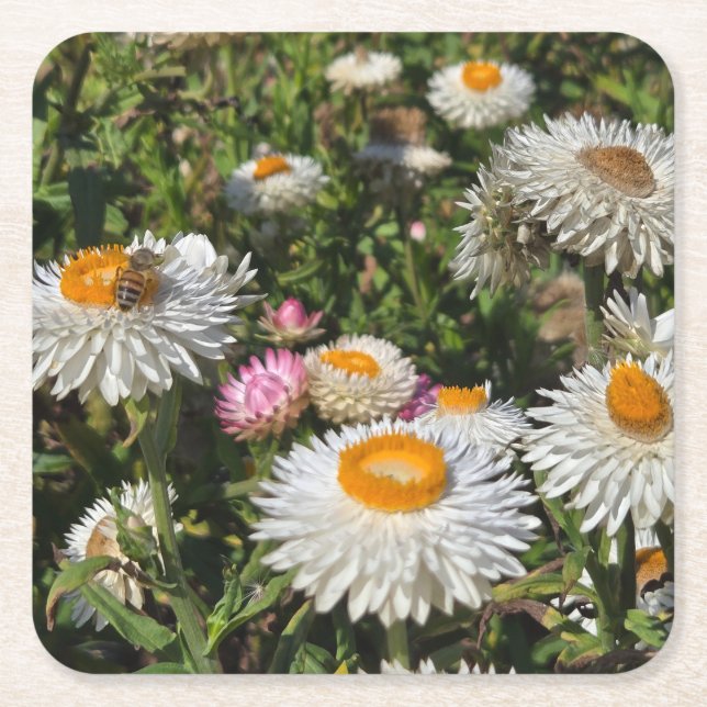 Strawblommor Underlägg Papper Kvadrat (Framsidan)