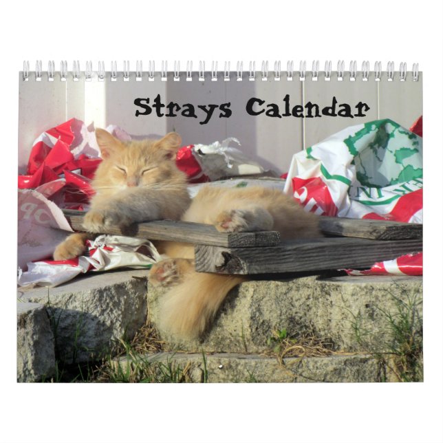 Strax Calendar Kalender (Omslag)