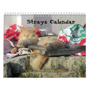 Strax Calendar Kalender