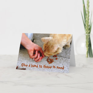 Stray Cat Hawaii Shelter Pets Helgkort