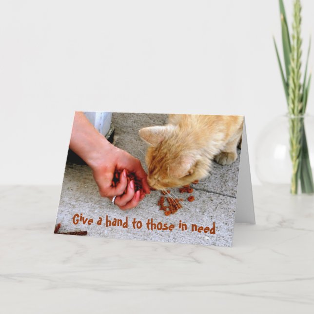 Stray Cat Hawaii Shelter Pets Helgkort (Framsida)