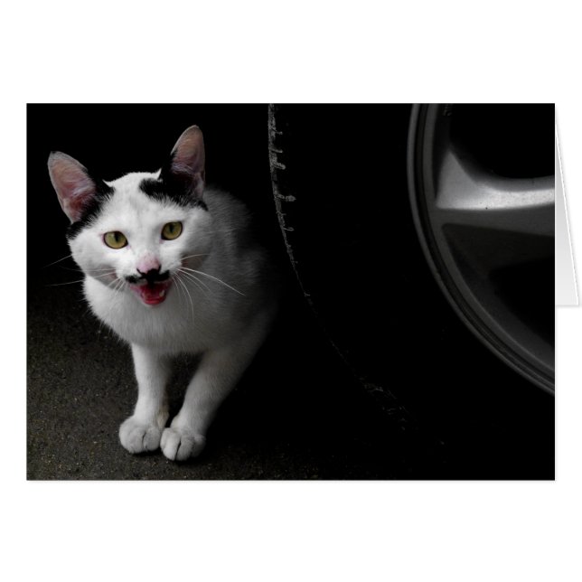 Stray Cat med mustache Hälsningskort (Framsidan Horizontal)