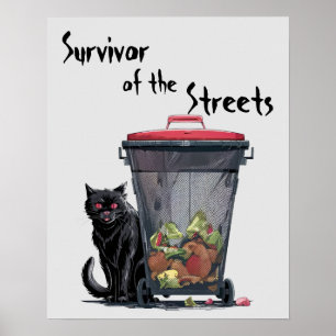 Stray Cat Poster