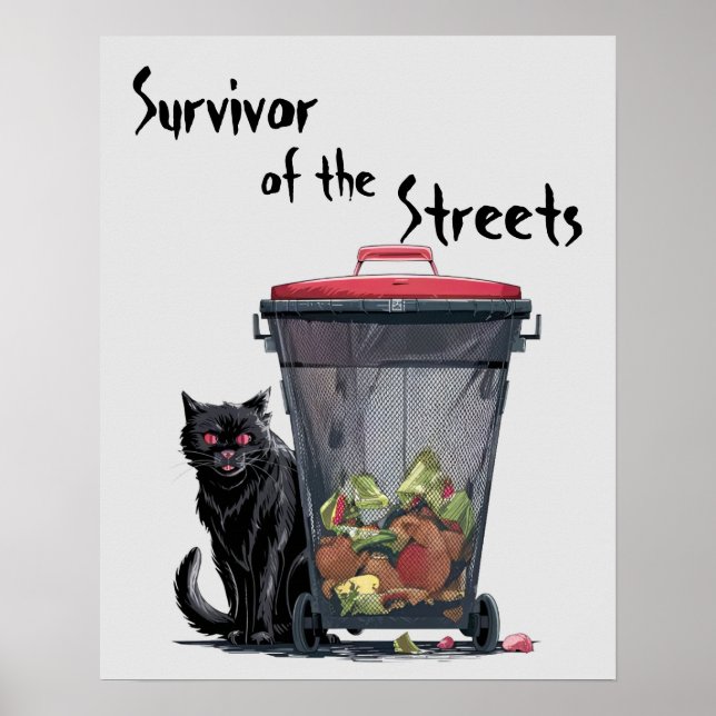 Stray Cat Poster (Framsidan)