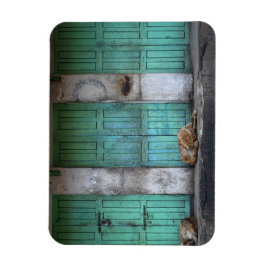 Stray hundar framför dörrar, rektangulär magnet