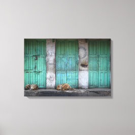 Stray hundar framför gröntens smutsiga dörrdukar canvastryck