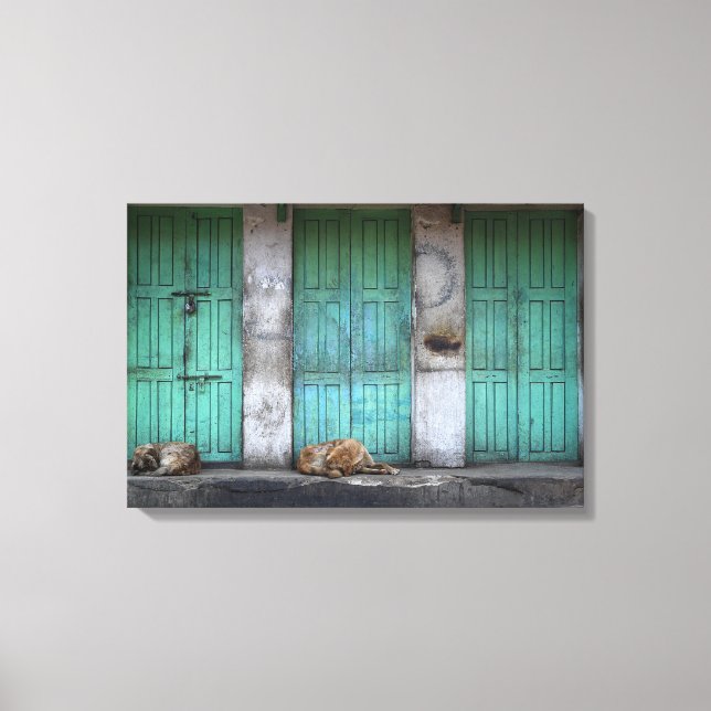 Stray hundar framför gröntens smutsiga dörrdukar canvastryck (Framsida)