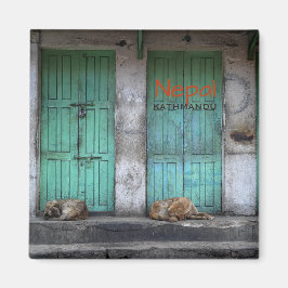 Stray hundar i Kathmandu, Nepal textmagnet Magnet
