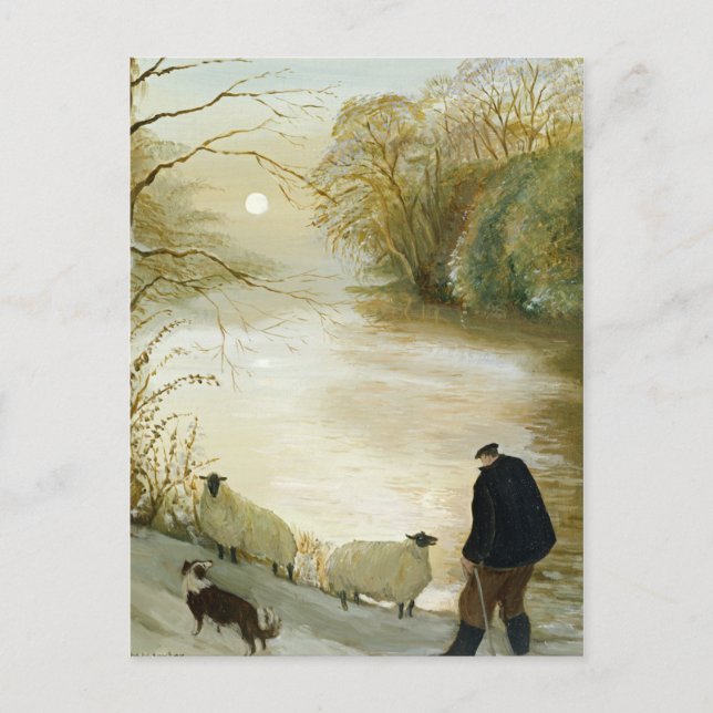 Stray Sheep Vykort (Framsida)