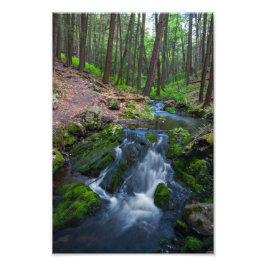 Stream Along the Trail  Fototryck