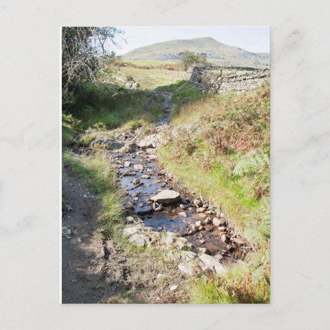 Stream Coniston Cumbrai England-kort Vykort (Framsida)