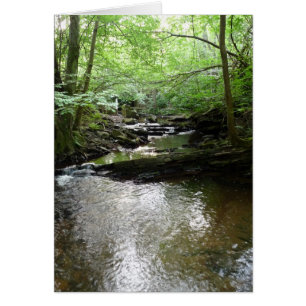 "Stream in Northumberland Skogen" (2) Hälsningskort