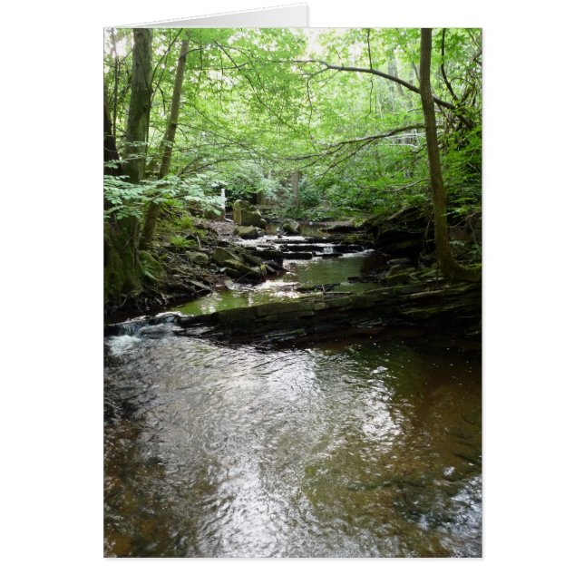 "Stream in Northumberland Skogen" (2) Hälsningskort (Framsidan)