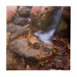 Stream in Payson, Arizona Kakelplatta