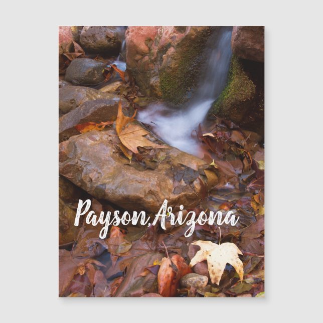 Stream in Payson, Arizona Magnet (Framsida)