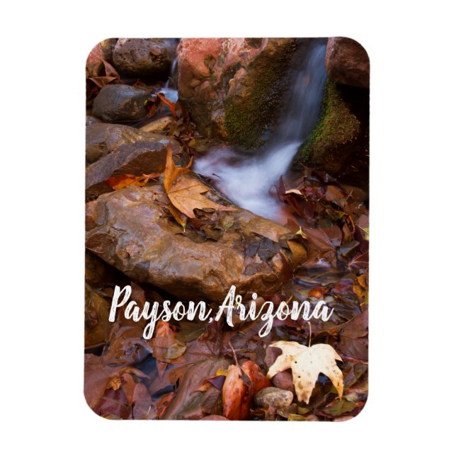Stream in Payson, Arizona Magnet (Vertikal)