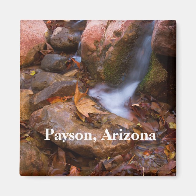 Stream in Payson, Arizona Magnet (Framsidan)