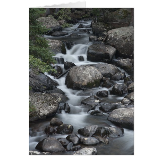 Stream-kort för Rocky Mountain National Park Hälsningskort (Framsidan)