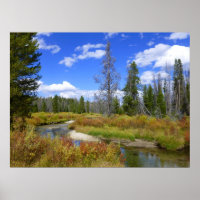 Stream nära Redfish sjö, Idaho.