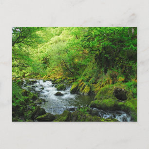 Stream på Springtime Vykort