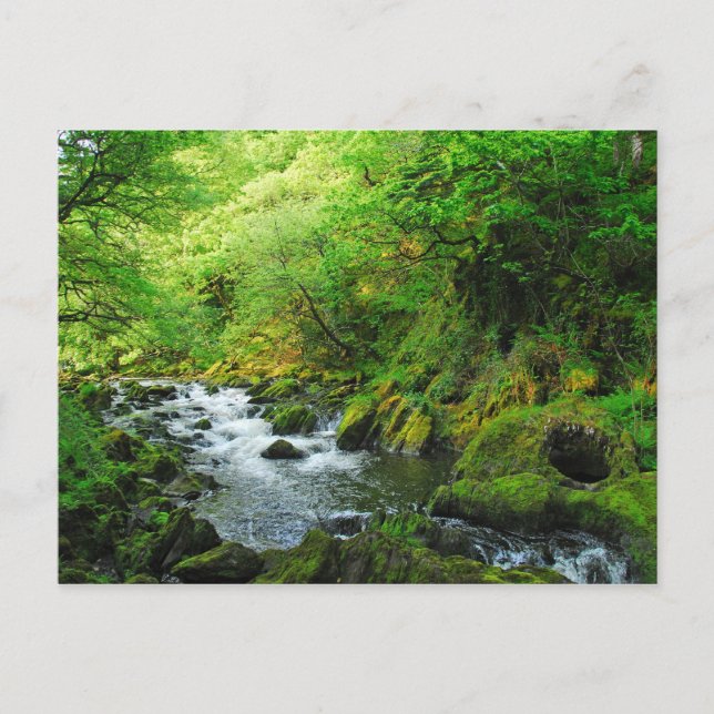 Stream på Springtime Vykort (Framsida)