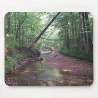 Streambed Musmatta