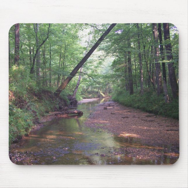 Streambed Musmatta (Framsidan)