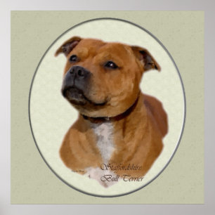 Streasdshire Bull Terrier Art Gifts Poster