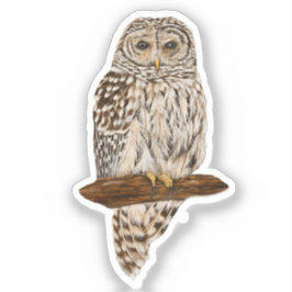 Streckad uggla klistermärken